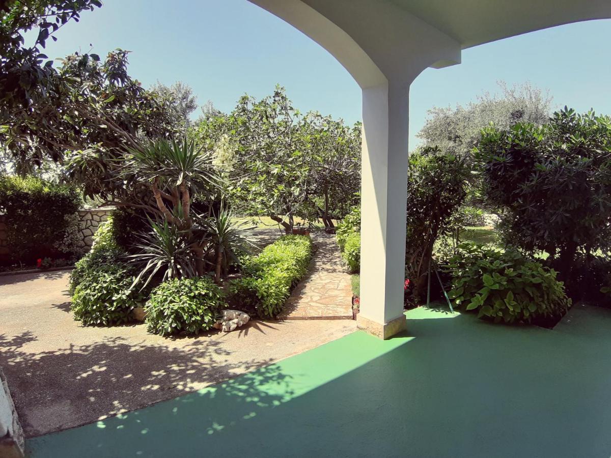 Bed and Breakfast F• R• I• E• N• D• S• Novalja Exterior foto